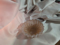 Scalloped Edge Bowl | Gold Glitter | Handmade Epoxy Resin