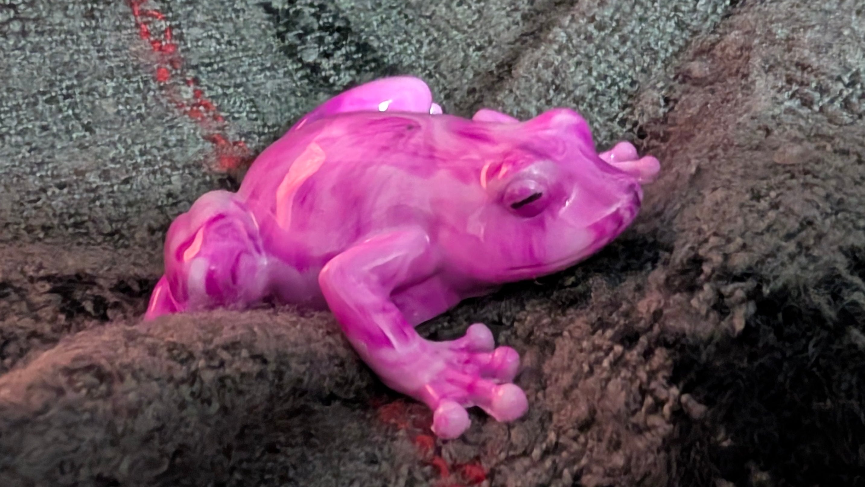 Pink Frog Figurine | Handmade Resin Home Decor